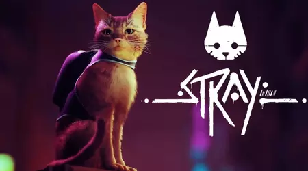 Cyberpunk med en kat: Indie-hittet Stray får 35 % rabat på Steam indtil 3. juni