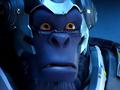 post_big/4051507-winston-abilties-overwatch.jpg