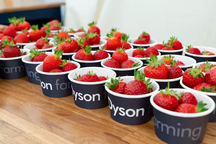 Jordbær, støvsugere og britisk surrey - ...