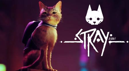 Cyberpunk med en kat: Indie-hittet Stray får 35 % rabat på Steam indtil 3. juni