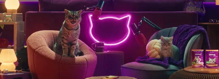 Whiskas har lanceret Purrcast podcasten: katte ...