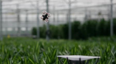 Hollandske ingeniører vil udrydde insekter i drivhuse ved hjælp af droner, IR-kameraer og kunstig intelligens