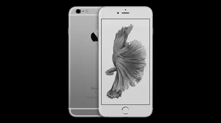 WhatsApp stopper måske understøttelsen af iPhone 6 Plus i midten af året