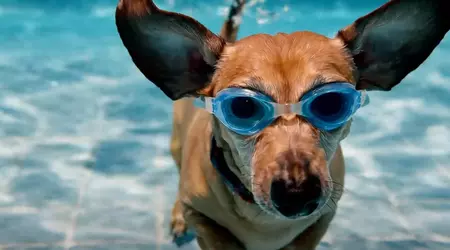 Veo 2 videogenerering tilføjet til Gemini Advance - du kan skabe filmiske klip af op til 8 sekunder