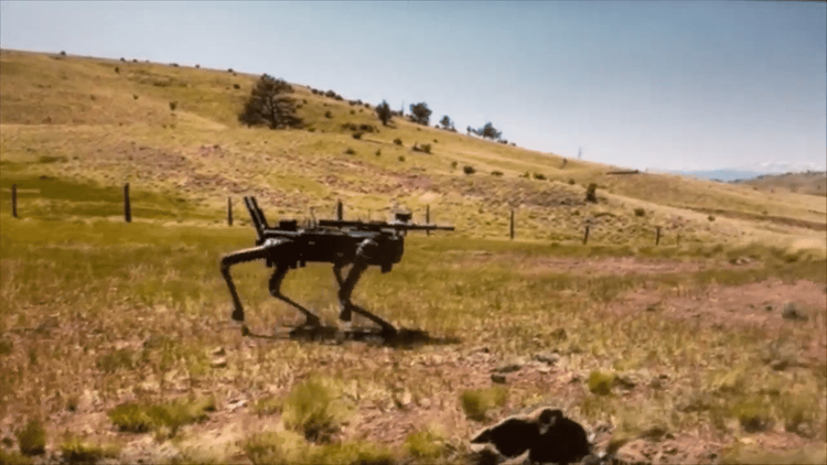 Robothunde med automatgeværer bliver evalueret af ...