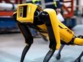 post_big/spot-boston-dynamics_1.jpg