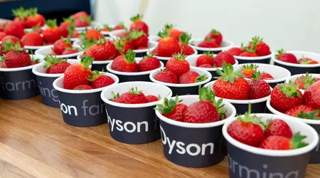 Jordbær, støvsugere og britisk surrey - hvordan Dyson forvandlede en gård til laboratoriet for fremtiden