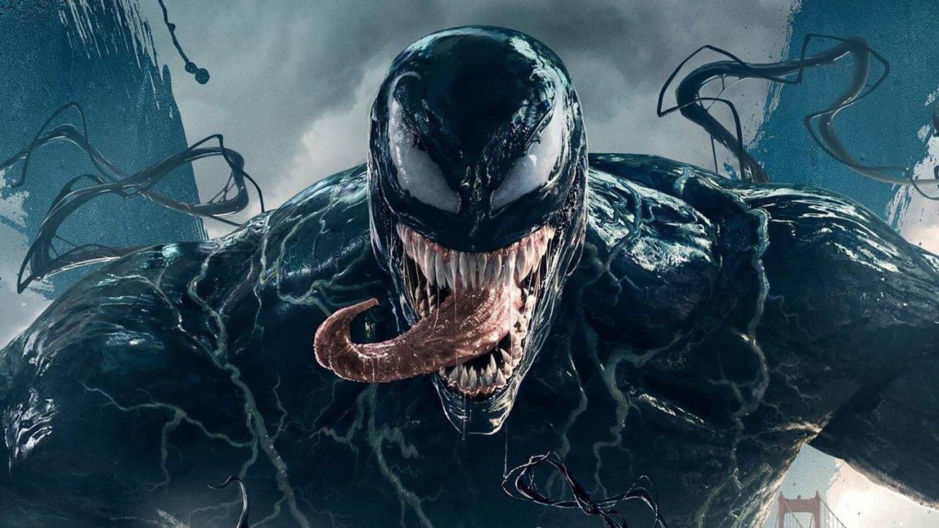 En symbiose af film og videnskab: En ny art af giftige edderkopper er blevet opdaget i Australien og opkaldt efter Marvels antihelt Tom Hardy.