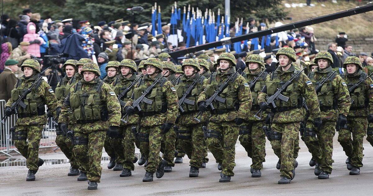 Estland overvejer at sende sine tropper til Ukraines bagland for at mindske byrden på de væbnede styrker.