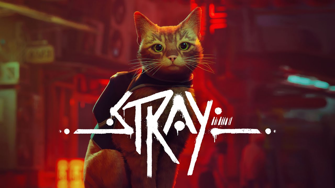 Stray vil være tilgængelig på Xbox den 10. august.