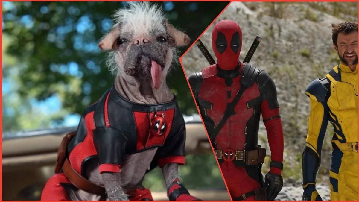 Lad hundene gå: Ryan Reynolds annoncerer sommerudgivelsen af Deadpool 3 og introducerer den nye pelsede helt Dogpool