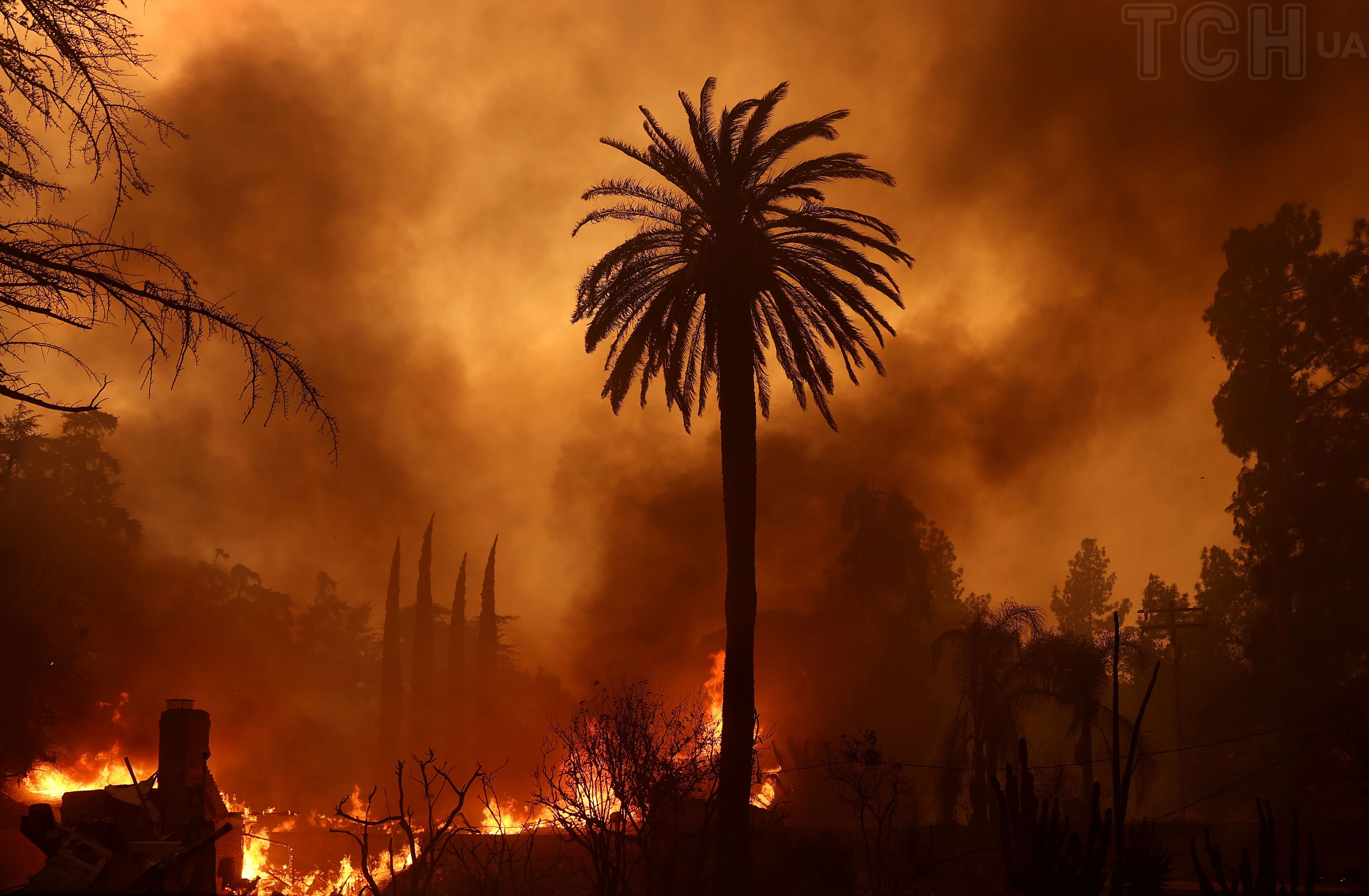 Skovbrand i Los Angeles