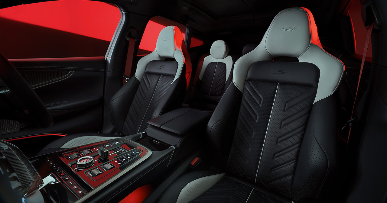 Aston Martin DBX S - a view against the backdrop of nature.