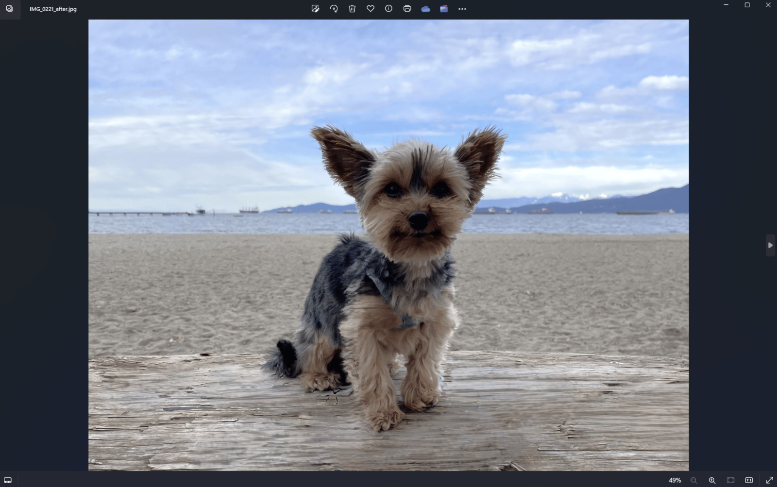 Microsoft tilføjer AI-drevet generativt objektsletningsværktøj til Windows Photos-appen-2