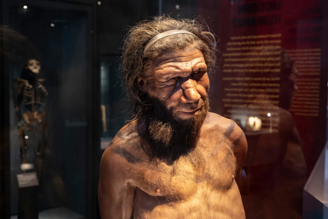 AI har vækket antimikrobielle neandertal-molekyler til live igen for at bekæmpe superbakterier