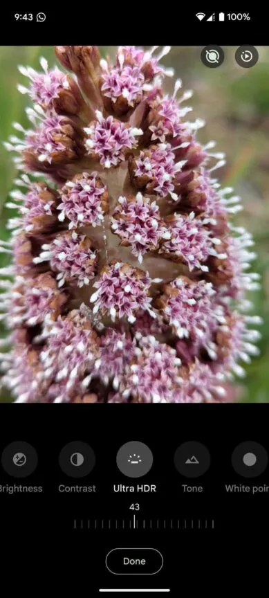 Google Photos Ultra HDR-option