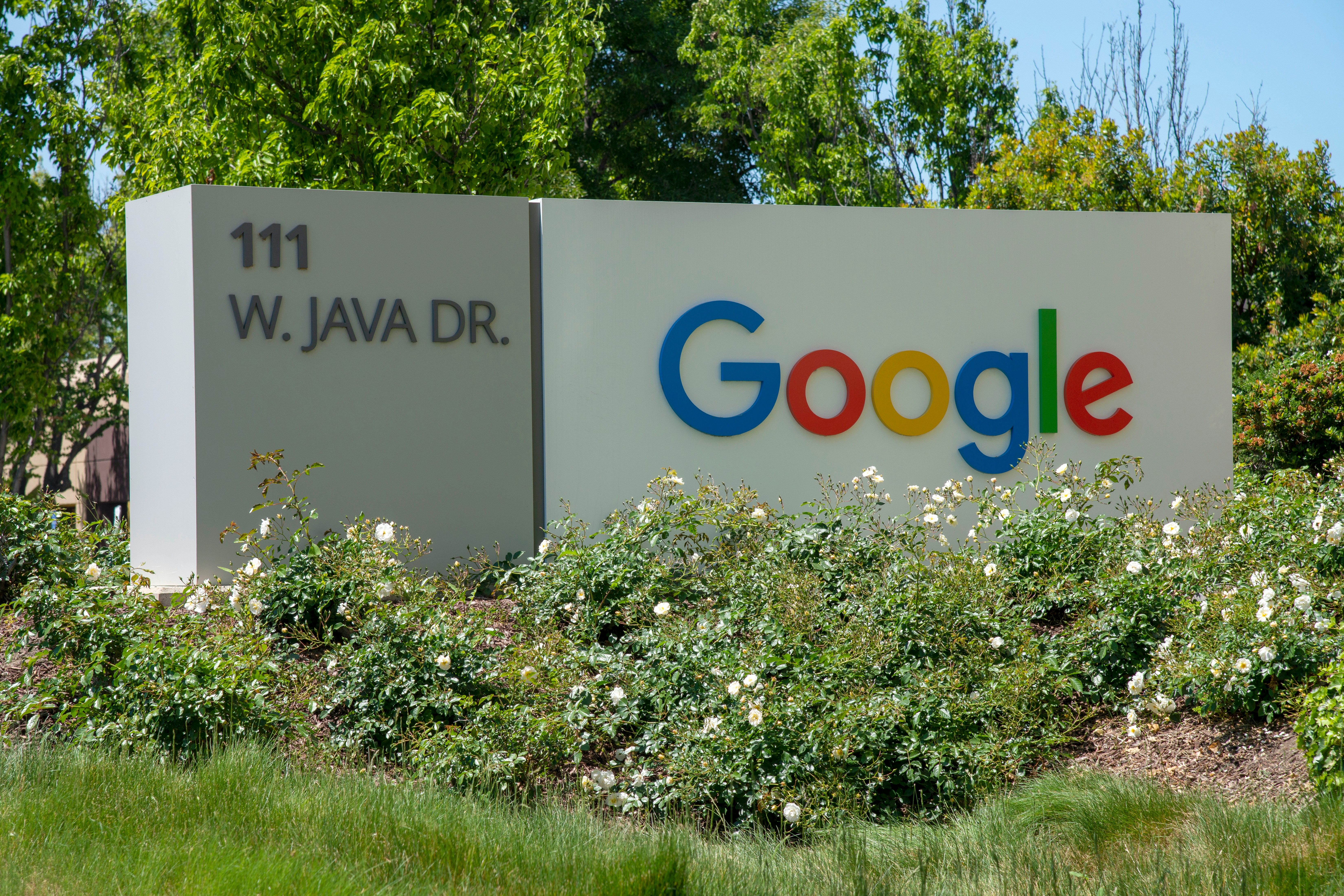 Google har annulleret en kontrakt med en entreprenør, der hjalp med at træne chatbotten Bard.