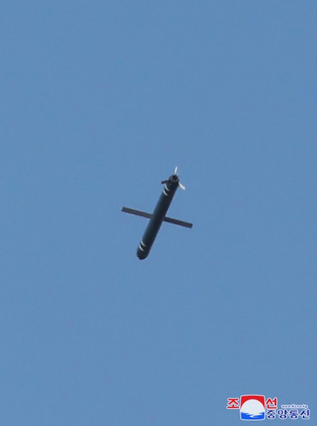 Pulhwasal-3-31-missilet. Illustration: KNCA