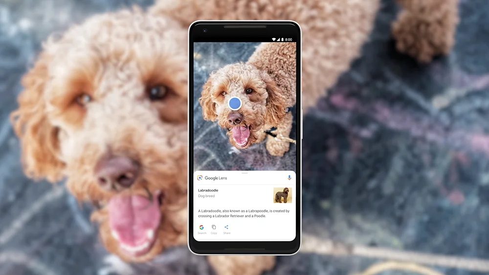 Google Lens får AI-baseret svargenereringsfunktion til visuel søgning