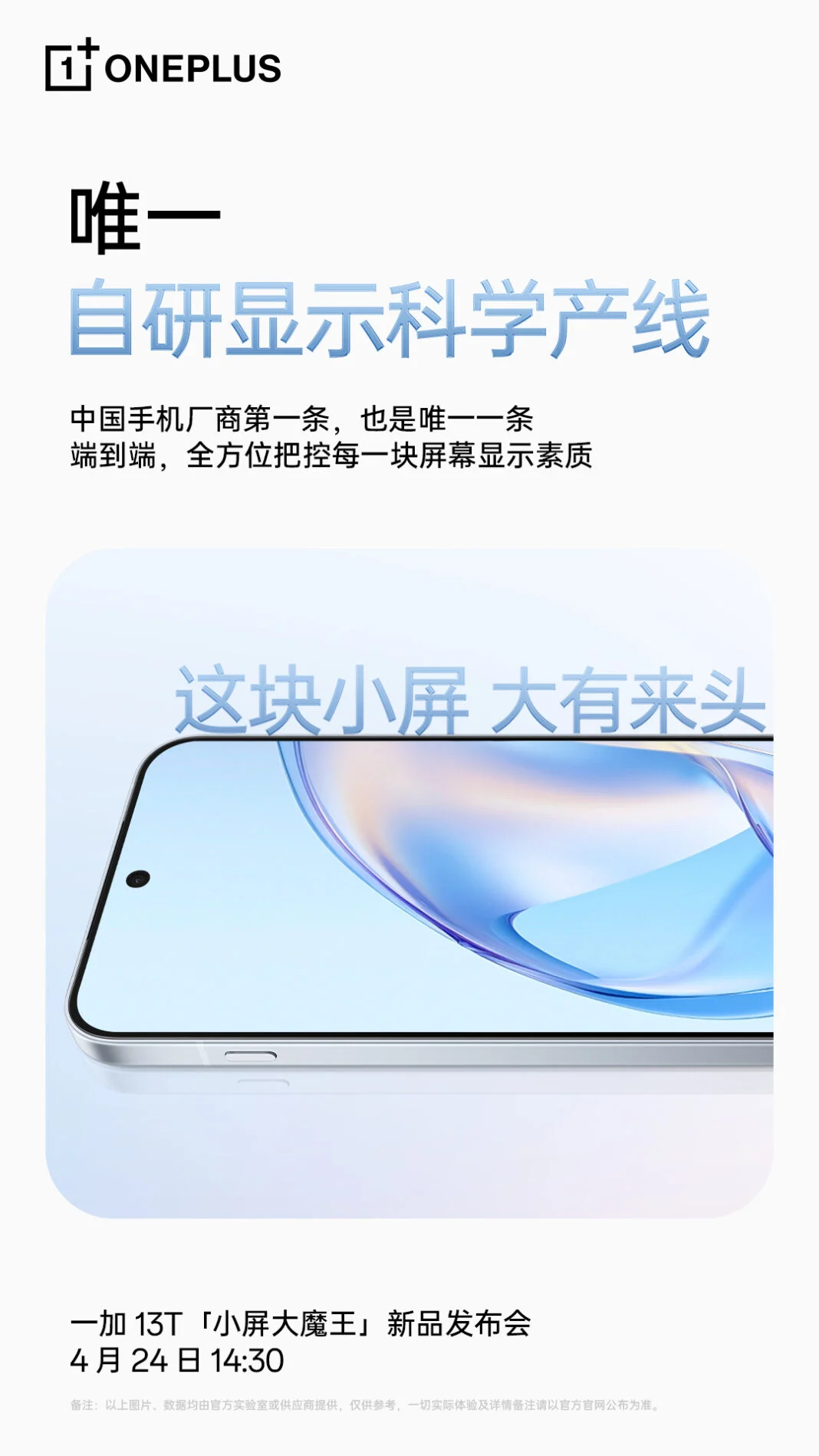 OnePlus 13T display information
